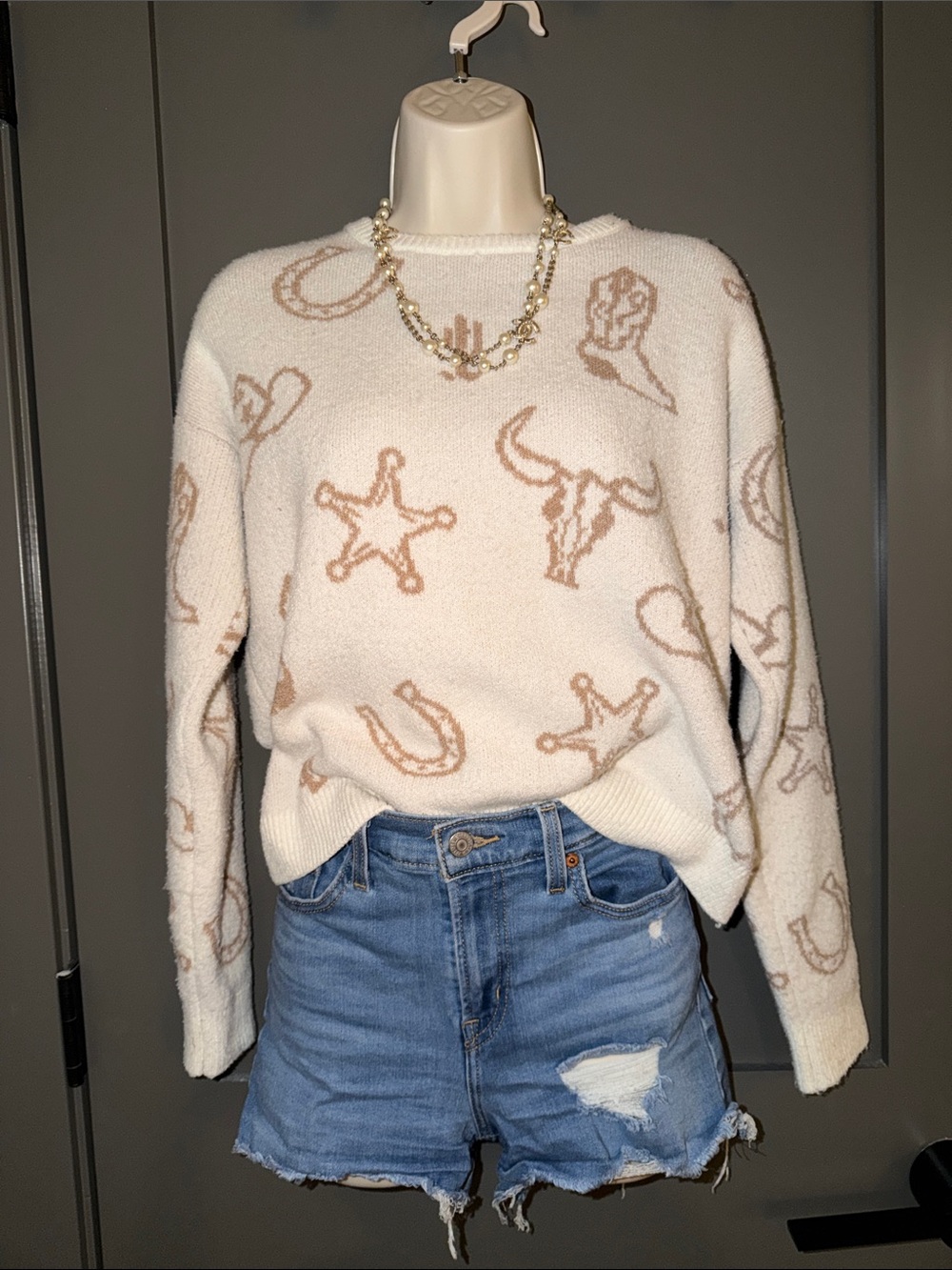 Western Motif Sweater